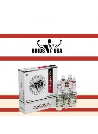 Magnum Mag-Jack 250 Magnum Mag-Jack 250